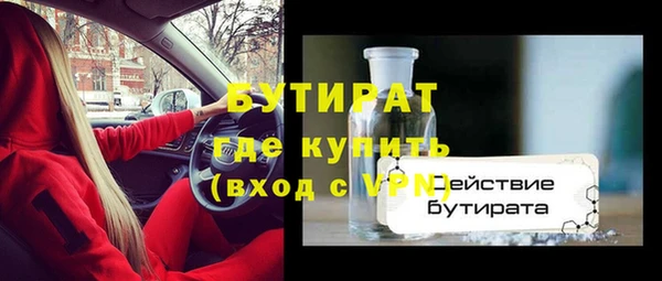 прущие грибы Каменногорск
