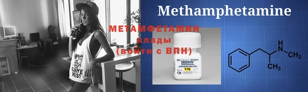 прущие грибы Каменногорск