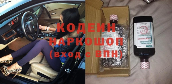 прущие грибы Каменногорск