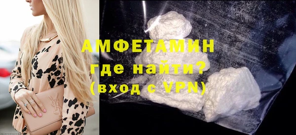 прущие грибы Каменногорск