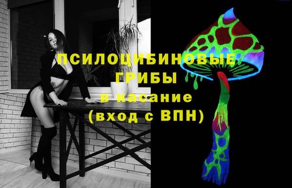 прущие грибы Каменногорск