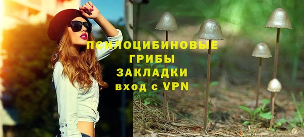 PSILOCYBIN Инта