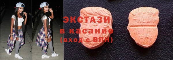 прущие грибы Каменногорск