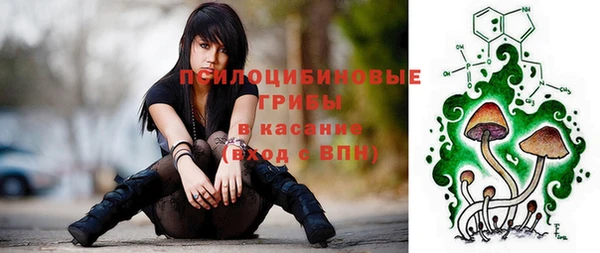 синтетический гашиш Каменск-Шахтинский