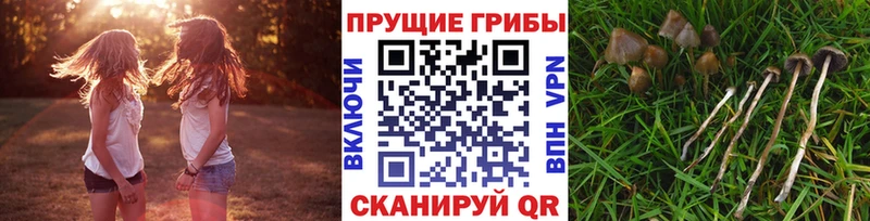 Галлюциногенные грибы Magic Shrooms  закладки  Костерёво 